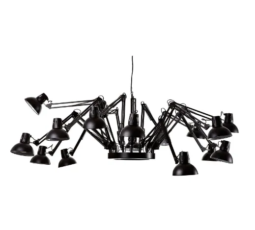 Spider 12