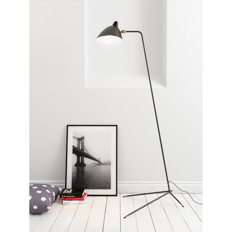 1-arm_floorlamp.jpg